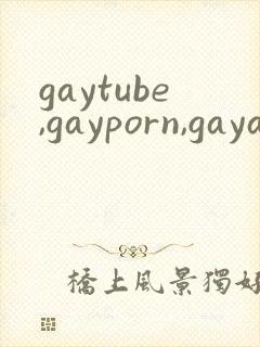 gaytube,gayporn,gayasian…