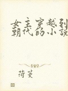 女主穿越到历史朝代的小说