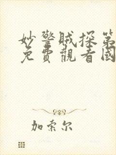 妙警贼探第一季免费观看国语封面