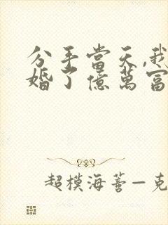 分手当天,我闪婚了亿万富豪小说版