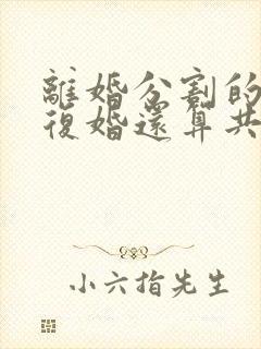 离婚分割的财产复婚还算共同财产吗