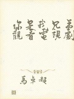 你是我兄弟免费观看电视剧在线播放