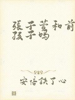 张子萱和前夫有孩子吗