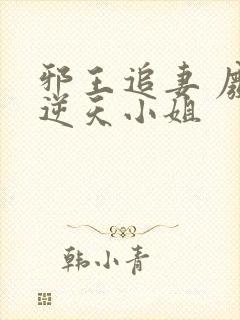 邪王追妻 废材逆天小姐