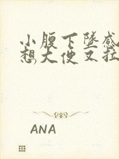 小腹下坠感疼痛想大便又拉不出来