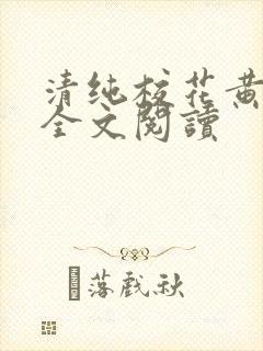 清纯校花黄婉儿全文阅读