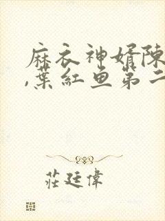 麻衣神婿陈黄皮,叶红鱼第二部