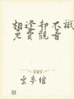 相逢却不识短剧免费观看