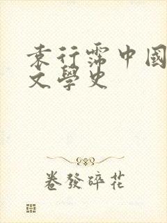 袁行霈中国古代文学史封面