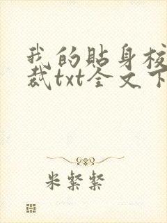 我的贴身校花总裁txt全文下载