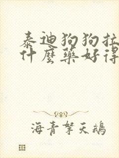 泰迪狗狗拉稀吃什么药好得快封面