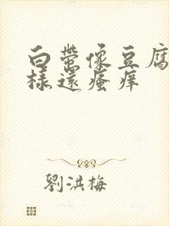 白带像豆腐渣一样还瘙痒