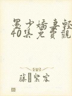 墨少娇妻轻轻宠40集免费观看全文