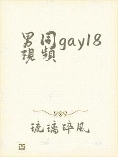 男同gay18视频