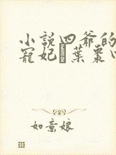 小说四爷的心尖宠妃·叶枣四爷全篇