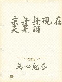 宋丹丹现在的丈夫是谁封面