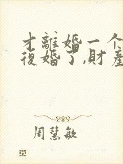 才离婚一个月又复婚了,财产怎么算