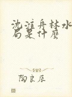 沈淮舟林水伊结局是什么