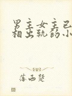 男主女主已婚互相出轨的小说