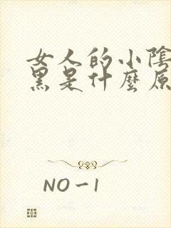 女人的小阴唇发黑是什么原因