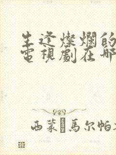 生逢灿烂的日子电视剧在哪个台播出