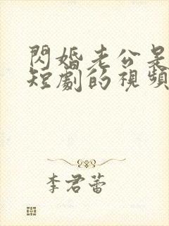 闪婚老公是总裁短剧的视频