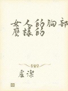 女人的胸部是什么样的