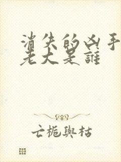 消失的凶手幕后老大是谁