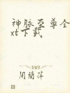 神脉至尊全文txt下载