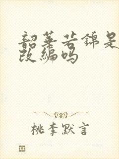 韶华若锦是小说改编吗封面