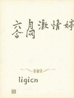 六月激情婷婷综合网