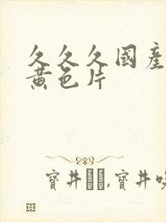 久久久国产精品黄色片封面