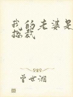 我的老婆是绝色总裁