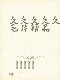 久久久久久久久毛片精品