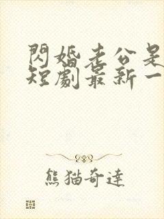 闪婚老公是豪门短剧最新一集