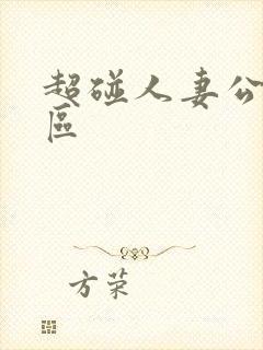 超碰人妻公开一区