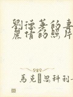 刘德华的妻子朱丽倩的照片封面