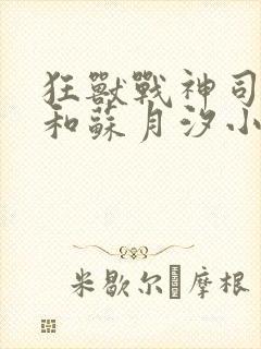 狂兽战神司空靖和苏月汐小说