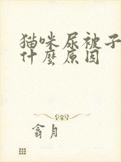 猫咪尿被子上是什么原因