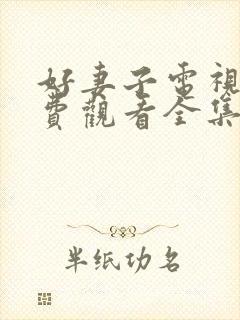 好妻子电视剧免费观看全集西瓜封面