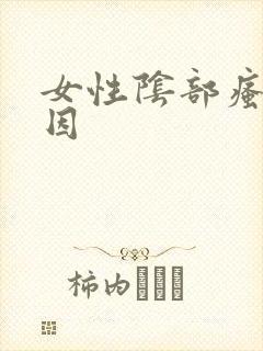 女性阴部瘙痒原因封面