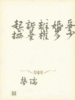 起诉离婚争孩子抚养权多少钱