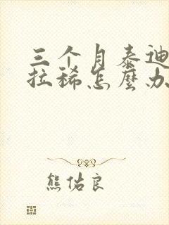 三个月泰迪有点拉稀怎么办