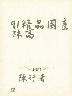 91精品国产丝袜高