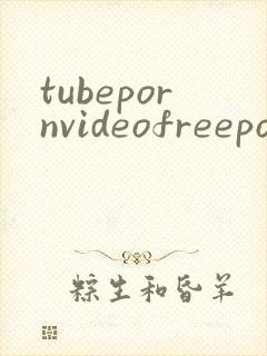 tubepornvideofreepornvideosstreamingporn