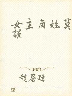 女主角姓莫的小说