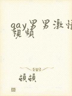 gay男男激情视频