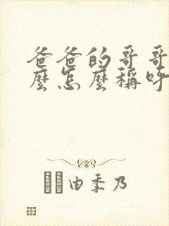 爸爸的哥哥叫什么怎么称呼