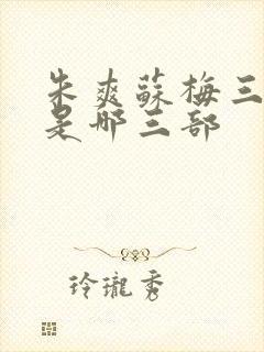 朱爽苏梅三部曲是哪三部封面