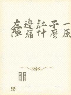 左边肚子一阵一阵痛什么原因